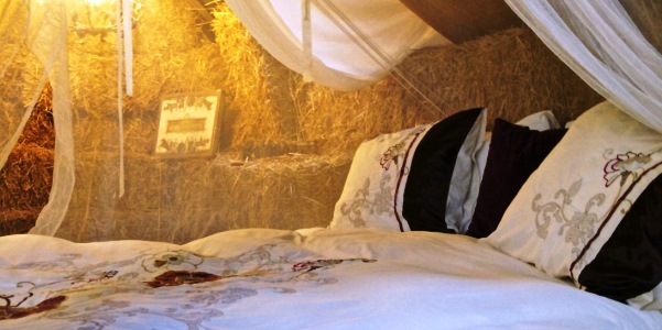 Hotel Hayema Heerd